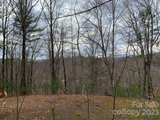 Lot 6 Theresa Terrace Meadows #6, Nebo, NC 28761
