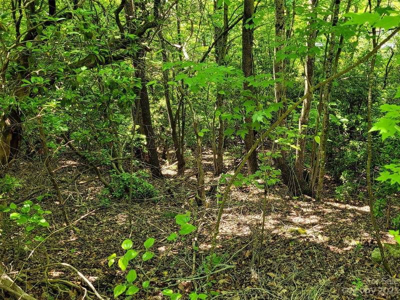 216 Bent Pine Tc #174, Hendersonville, NC 28739