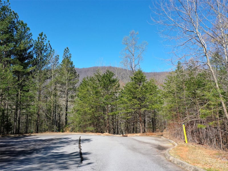 LOT 25 Monteith Pl, Mill Spring, NC 28756