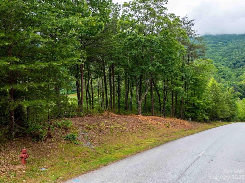 LOT 43 Deep Gap Farm Rd, Mill Spring, NC 28756
