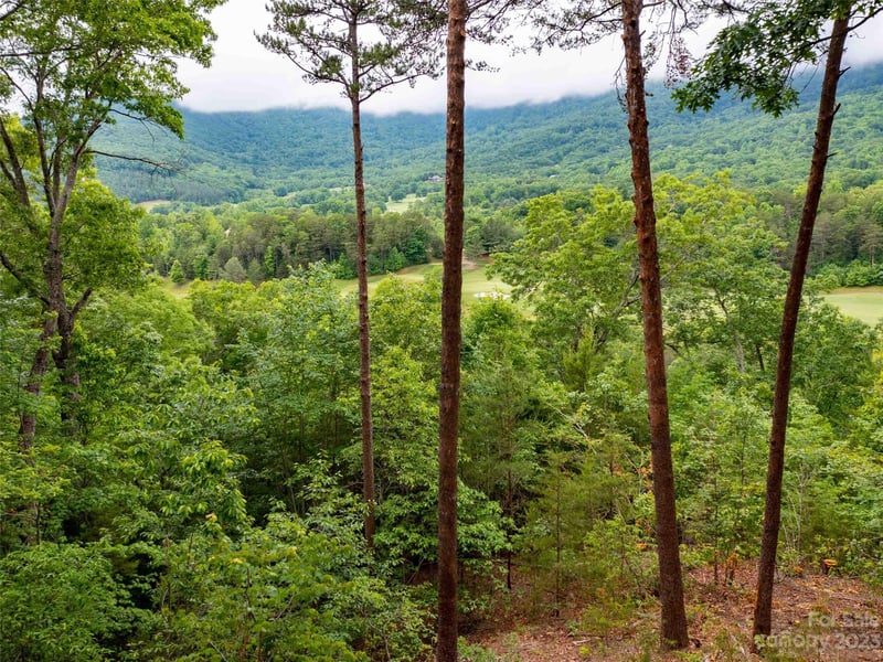 LOT 43 Deep Gap Farm Rd, Mill Spring, NC 28756