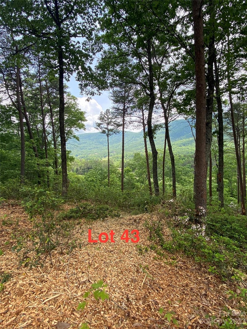 LOT 43 Deep Gap Farm Rd, Mill Spring, NC 28756