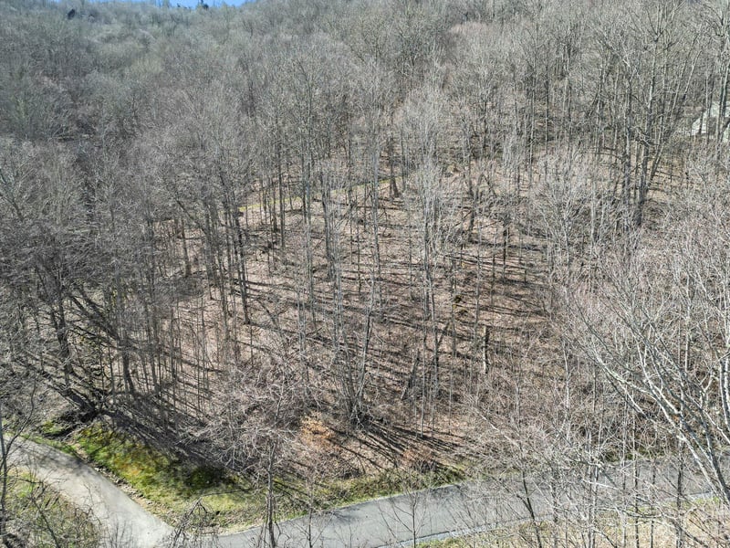 16 Chestnut Village Ln #16, Mars Hill, NC 28754