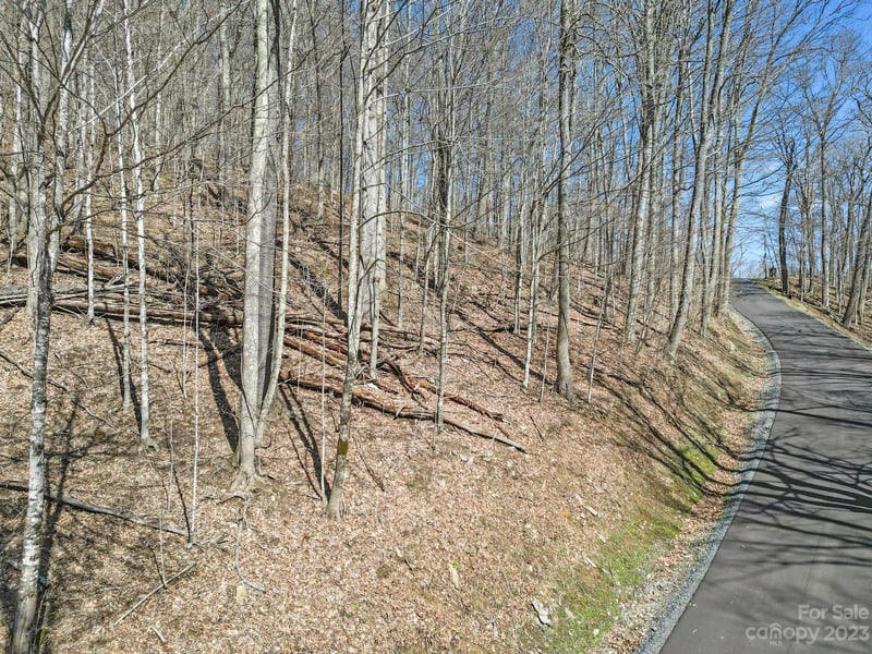 16 Chestnut Village Ln #16, Mars Hill, NC 28754