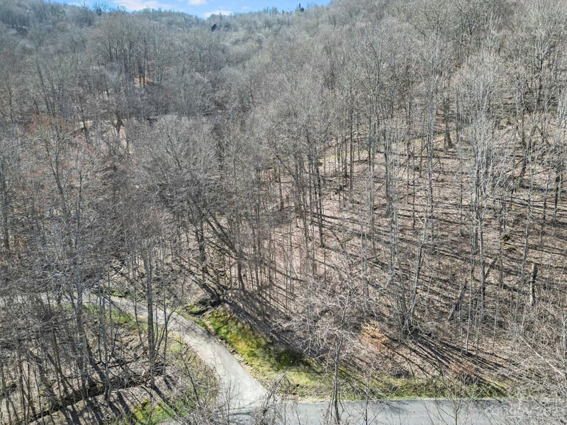 16 Chestnut Village Ln #16, Mars Hill, NC 28754