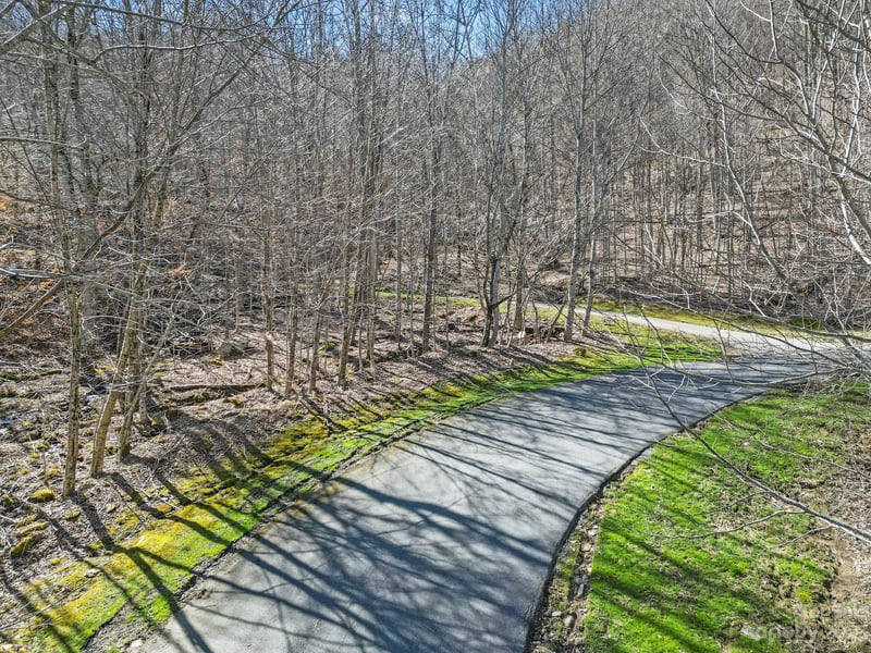 17 Chestnut Village Ln #17, Mars Hill, NC 28754