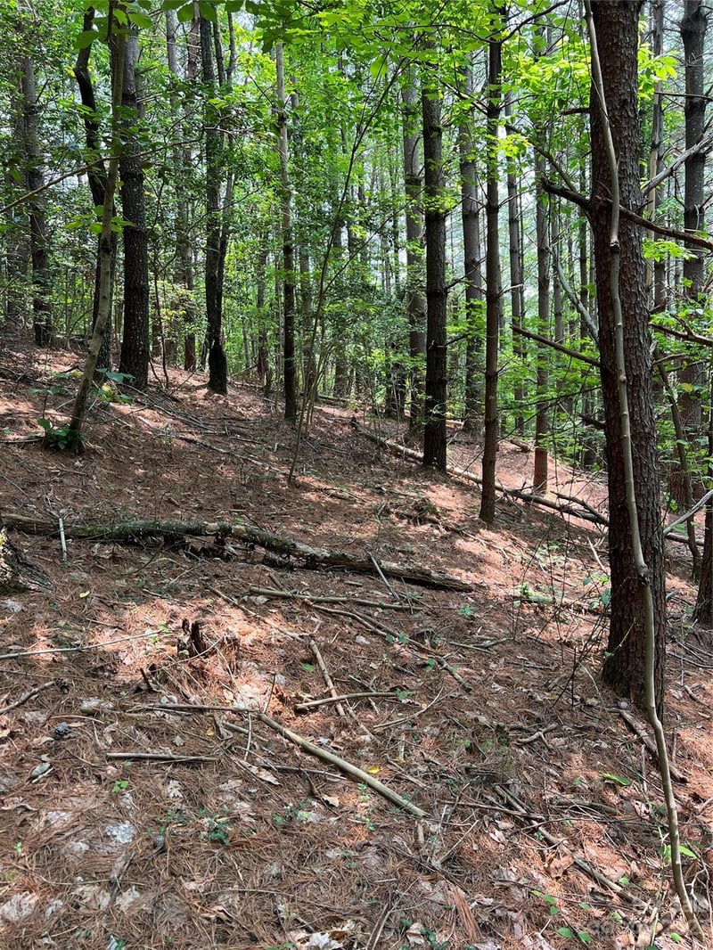 9589 Shortoff View Ter #29, Nebo, NC 28761