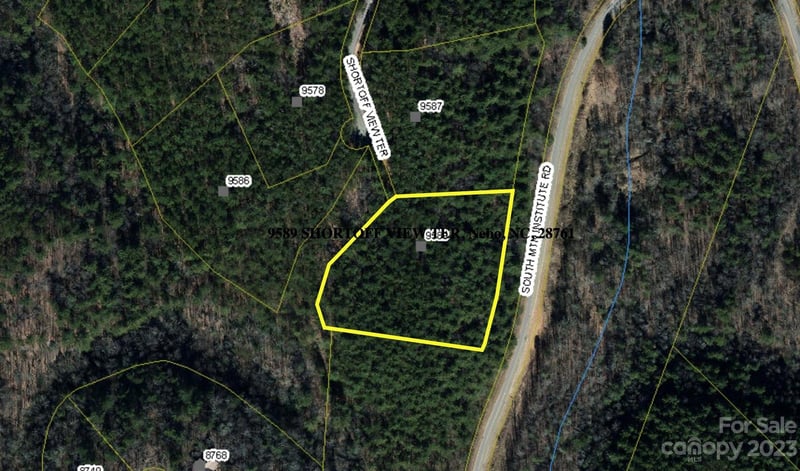 9589 Shortoff View Ter #29, Nebo, NC 28761