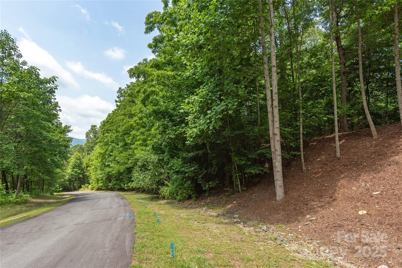 100 Ivywood Ln, Laurel Park, NC 28739