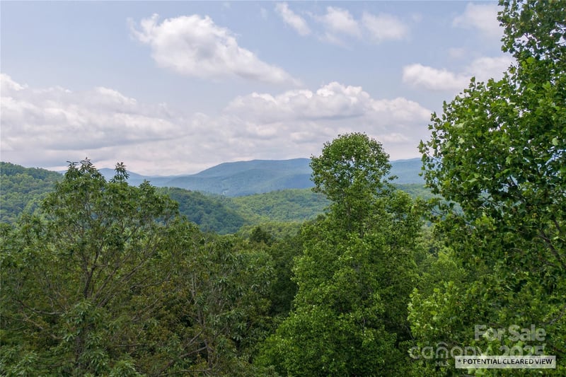 100 Ivywood Ln, Laurel Park, NC 28739
