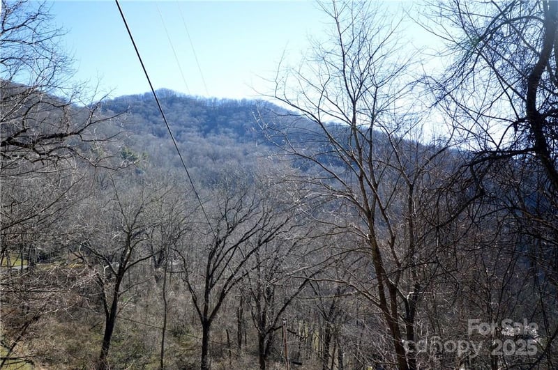 24 Lochmoor Ln, Waynesville, NC 28785