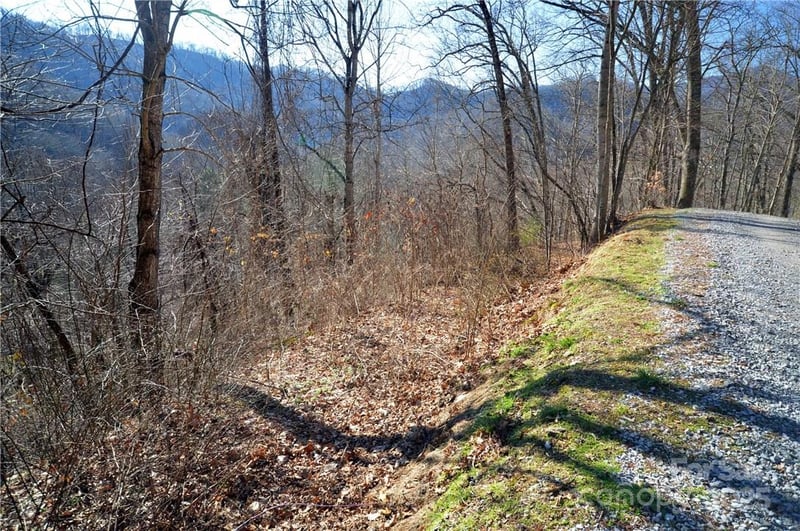 24 Lochmoor Ln, Waynesville, NC 28785