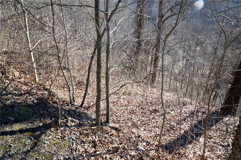 24 Lochmoor Ln, Waynesville, NC 28785