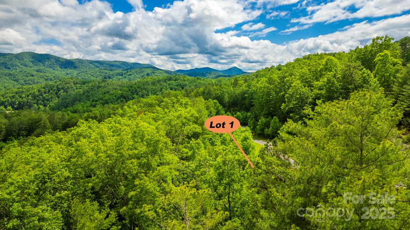 Lot 1 Reynolds Pw, Ferguson, NC 28624