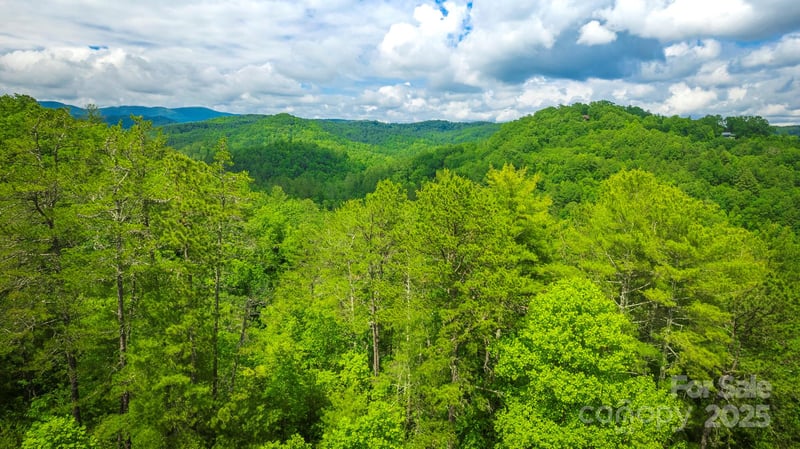 Lot 1 Reynolds Pw, Ferguson, NC 28624