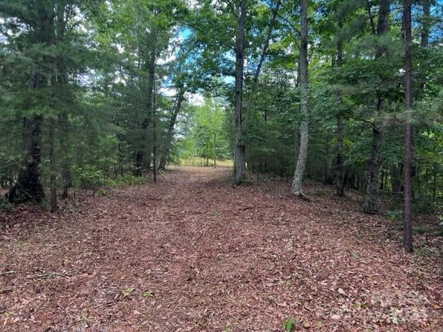 46 Park Ln, Mill Spring, NC 28756