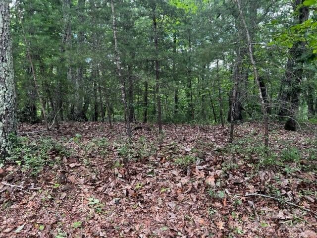 46 Park Ln, Mill Spring, NC 28756
