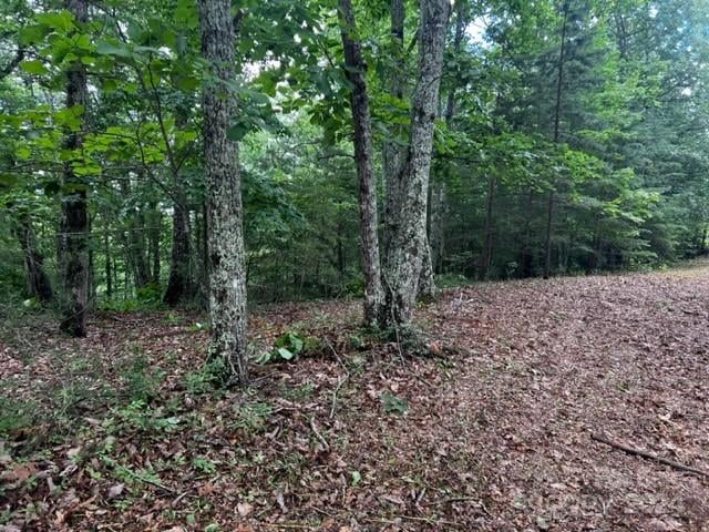 46 Park Ln, Mill Spring, NC 28756