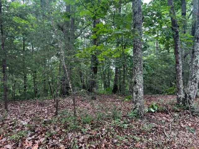46 Park Ln, Mill Spring, NC 28756