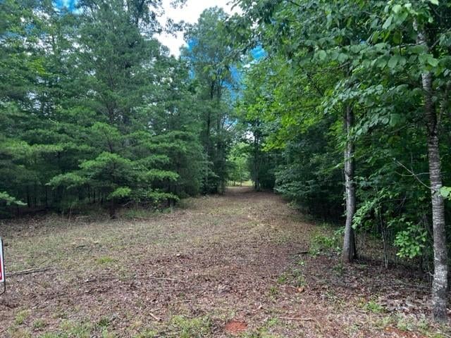 46 Park Ln, Mill Spring, NC 28756