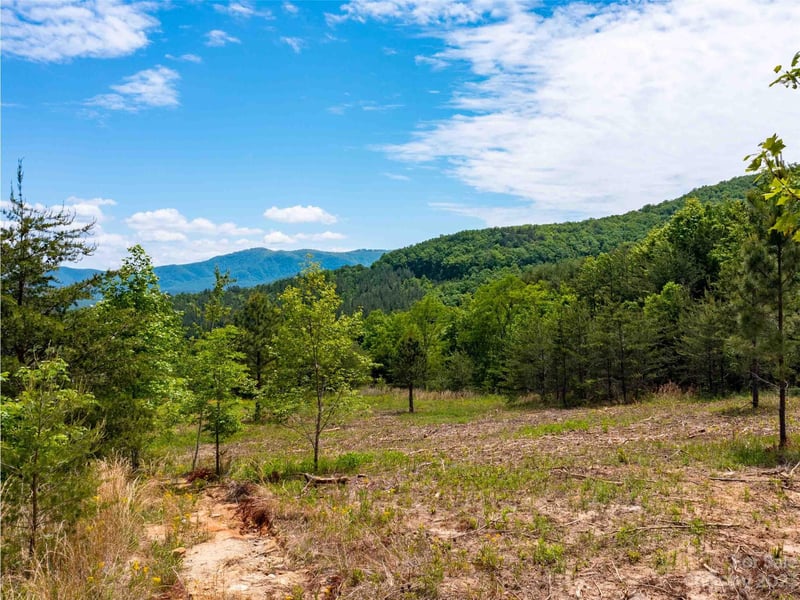 LOT 185 Harris Ct, Mill Spring, NC 28756