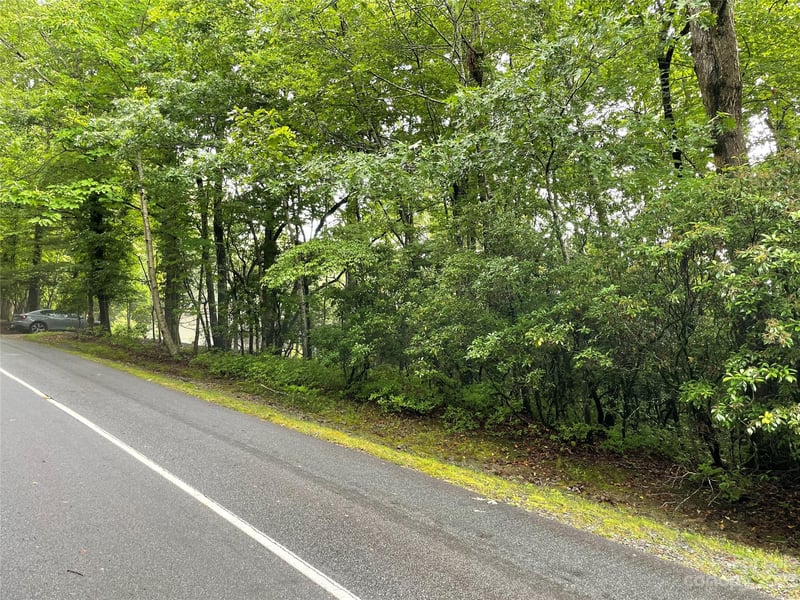 TBD Tellico Trl #116/01, Brevard, NC 28712