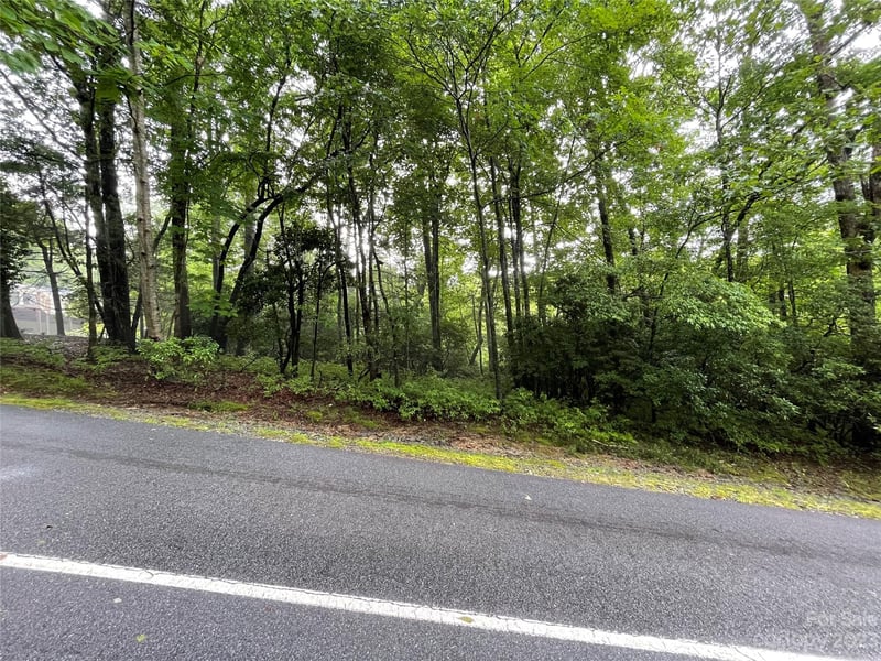 TBD Tellico Trl #116/01, Brevard, NC 28712