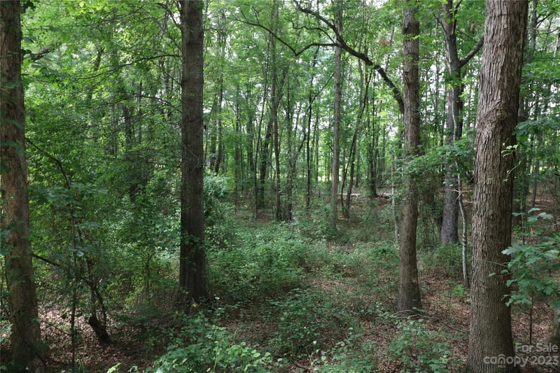 Lot 20 Commercial Dr, Forest City, NC 28043