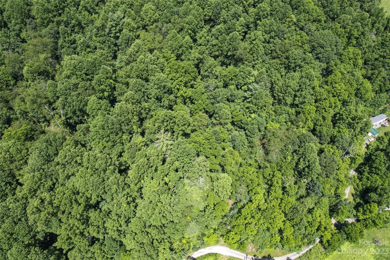 9999 Davis Cove Rd, Leicester, NC 28748