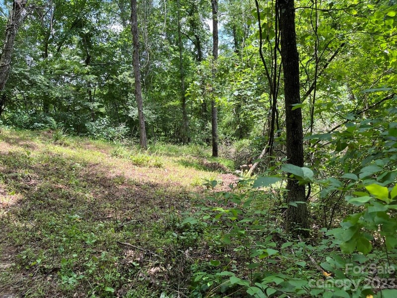 9999 Davis Cove Rd, Leicester, NC 28748