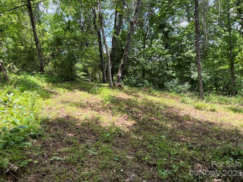 9999 Davis Cove Rd, Leicester, NC 28748