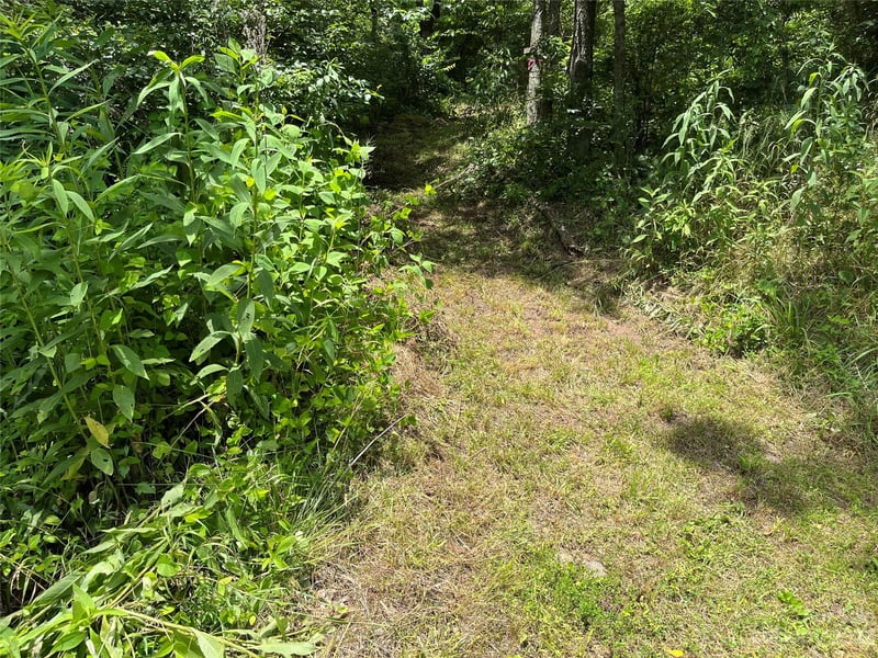 9999 Davis Cove Rd, Leicester, NC 28748