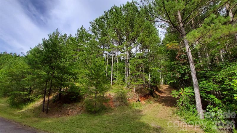 Sunset Dr #12, Mill Spring, NC 28756