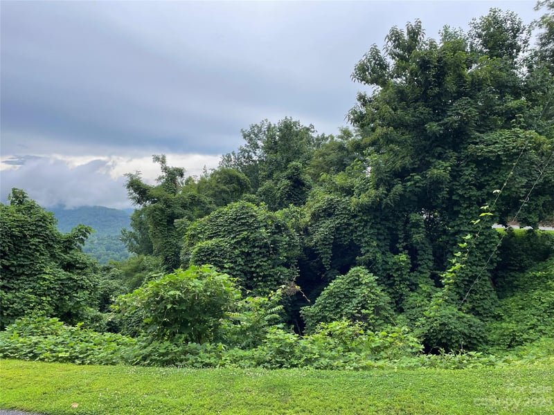 Clear Creek Trl #31, Lake Lure, NC 28746