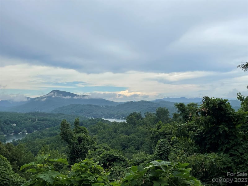 Clear Creek Trl #31, Lake Lure, NC 28746