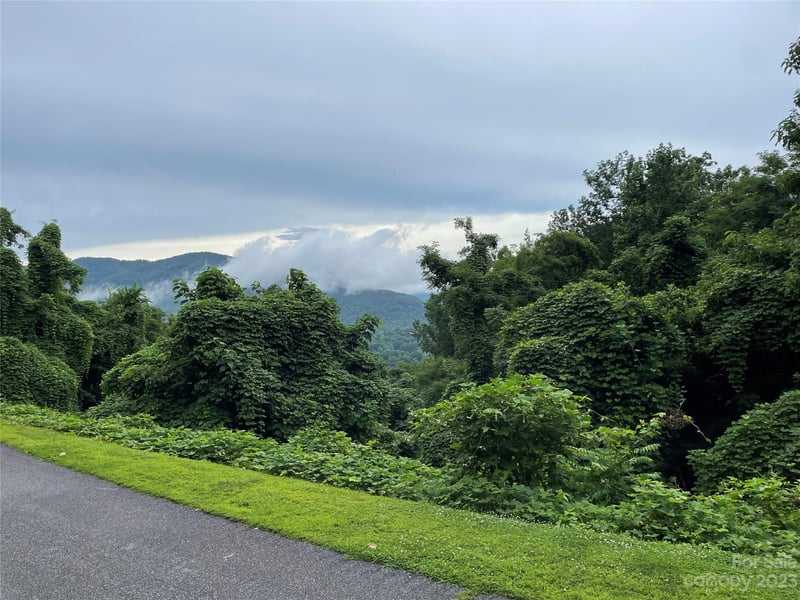Clear Creek Trl #31, Lake Lure, NC 28746