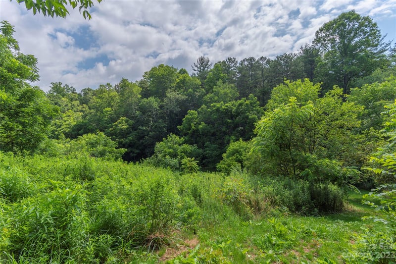 Scruggs Cir, Canton, NC 28716