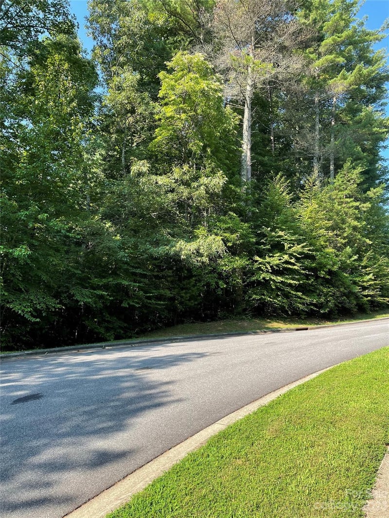 V48-49 Camptown Rd #V48&49, Brevard, NC 28712