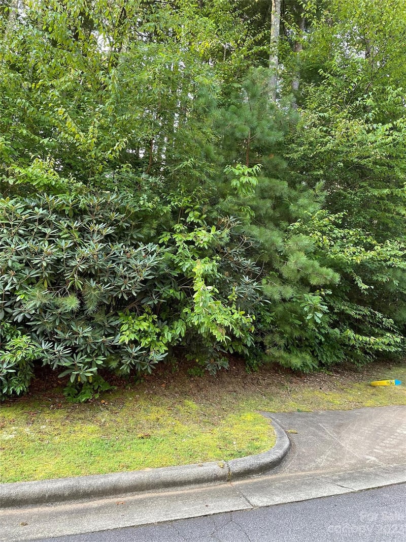 V48-49 Camptown Rd #V48&49, Brevard, NC 28712