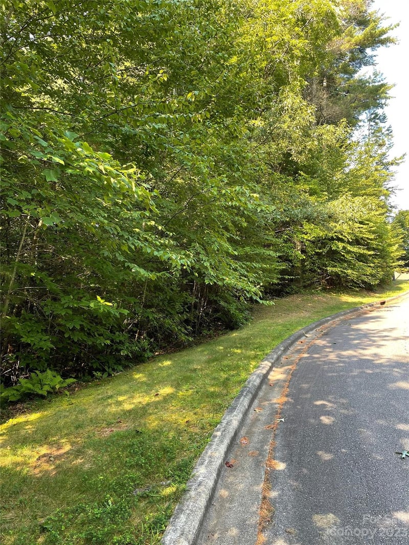 V48-49 Camptown Rd #V48&49, Brevard, NC 28712