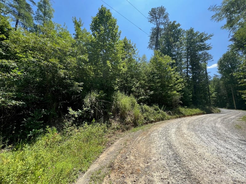 lot 24 Round Mountain Rd #24, Brevard, NC 28712
