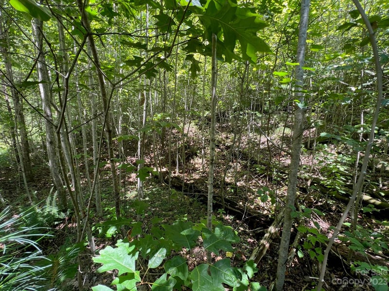 lot 24 Round Mountain Rd #24, Brevard, NC 28712