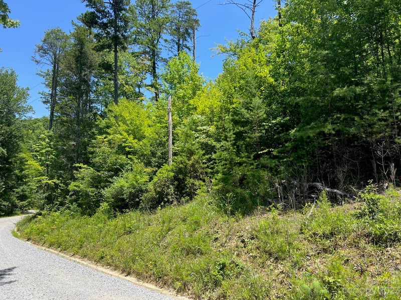 lot 24 Round Mountain Rd #24, Brevard, NC 28712
