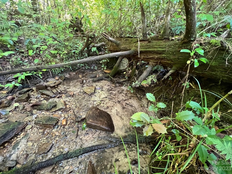 lot 24 Round Mountain Rd #24, Brevard, NC 28712