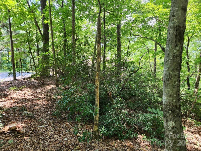Banjo Ct, Lake Lure, NC 28746