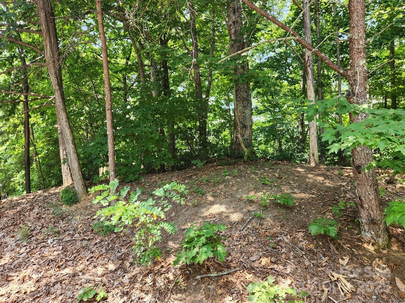 Banjo Ct, Lake Lure, NC 28746