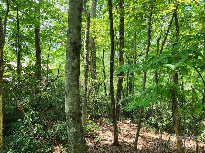 Banjo Ct, Lake Lure, NC 28746