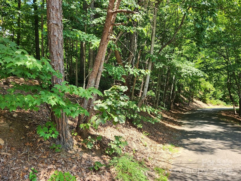 Banjo Ct, Lake Lure, NC 28746