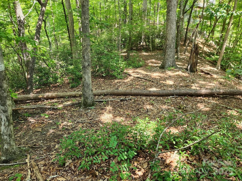 0 Banjo Ct, Lake Lure, NC 28746