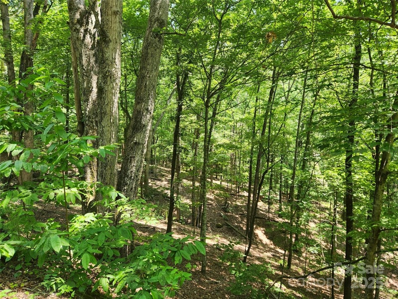 0 Walnut Ln, Lake Lure, NC 28746